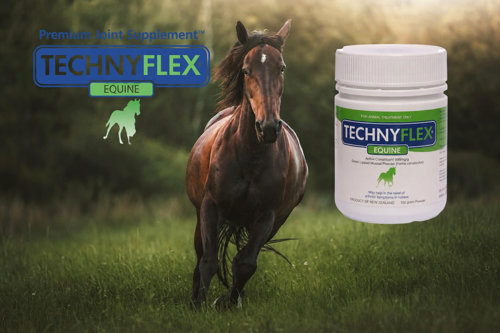Technyflex Equine — Premium Joint Supplement for Horses