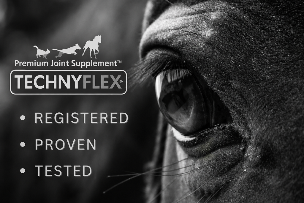 Technyflex Equine — Premium Joint Supplement for Horses