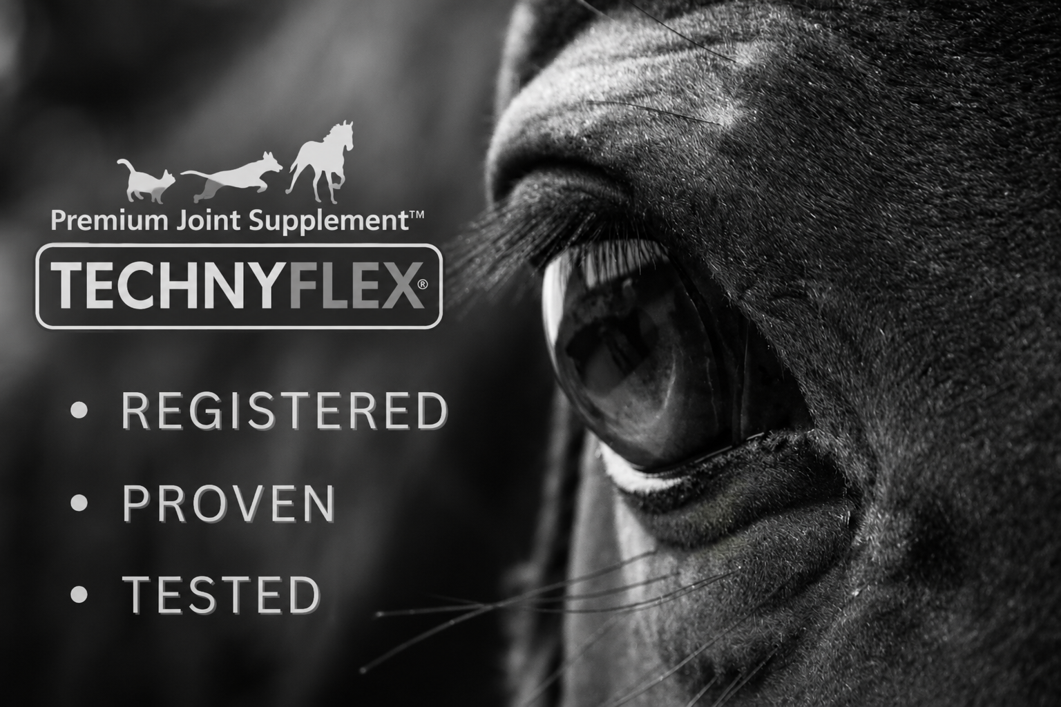 Technyflex Equine — Premium Joint Supplement for Horses
