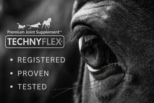 Technyflex Equine — Premium Joint Supplement for Horses