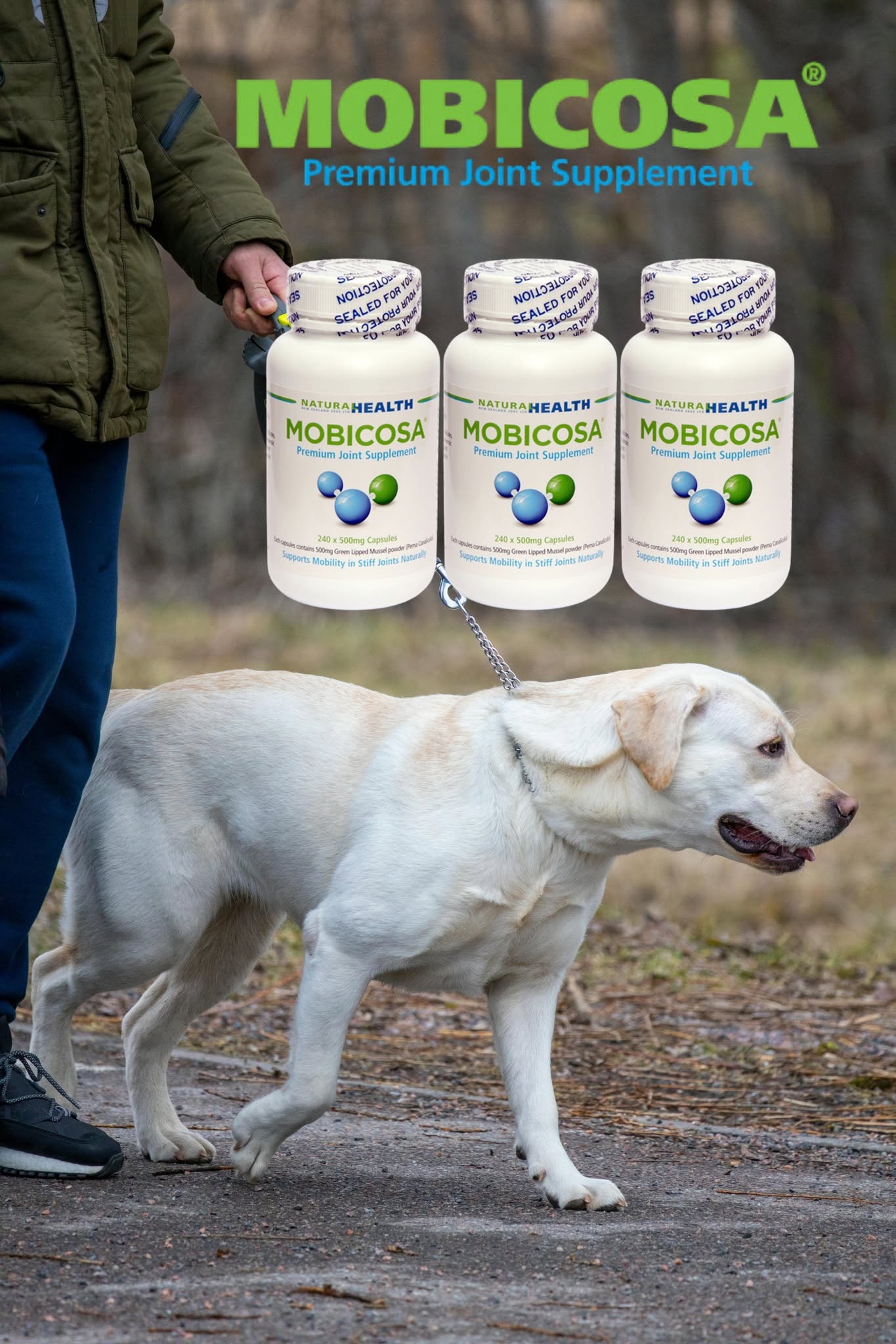 Mobicosa Premium Joint Supplement 80 Capsules